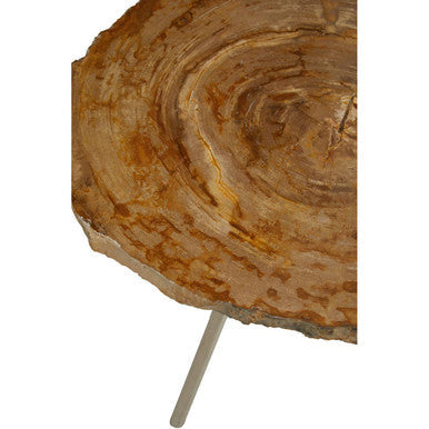 Natural Medium Rustic Petrified Wood Top Side Table with Silver Finish Metal Frame