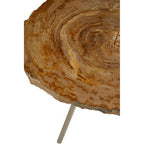 Natural Medium Rustic Petrified Wood Top Side Table with Silver Finish Metal Frame
