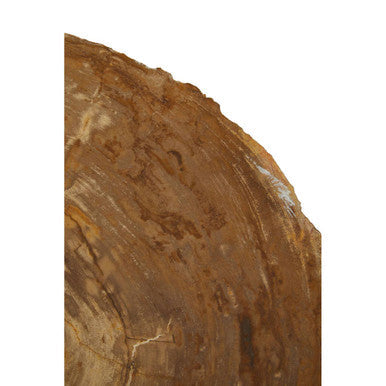 Natural Medium Rustic Petrified Wood Top Side Table with Silver Finish Metal Frame
