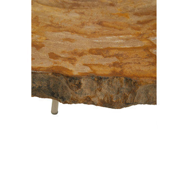 Natural Medium Rustic Petrified Wood Top Side Table with Silver Finish Metal Frame