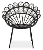 Black Natural Rattan Peacock Chair