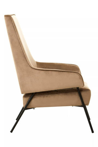 Mink Velvet High Back Chair with Black Metal Legs