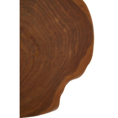Natural Teak Wood Live Edge Side Table with Black Finish Legs