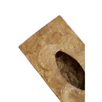 Beige Seashell Tissue Box