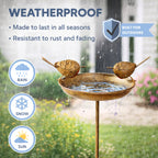 Robin Bird Bath & Feeder Stake