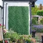 Boxwood Screening Panel 60 x 40cm