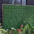 Boxwood Screening Panel 60 x 40cm