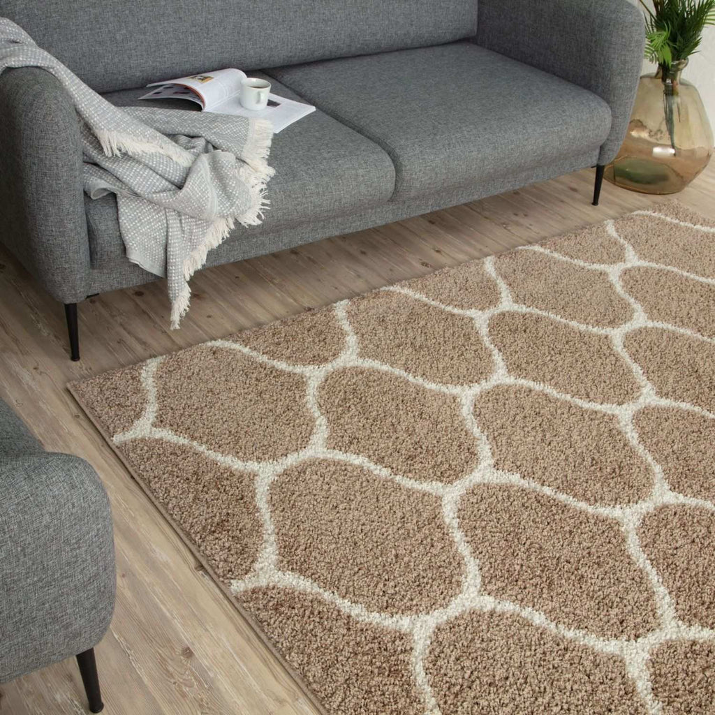 Moroccan Beige Shaggy Rug