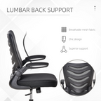 Mesh Office Chair Home Swivel Task Chair, Lumbar Support, Black