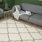 Ivory Shaggy Rug