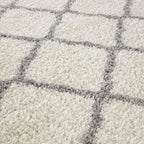 Ivory Shaggy Rug