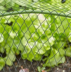 Garden Mile Pond Netting - 2m x 4m Fine Mesh Netting for Plants Garden Bird Protection