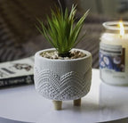 Artificial Succulent in a White Pot With Legs