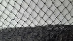 Garden Mile Pond Netting - 2m x 4m Fine Mesh Netting for Plants Garden Bird Protection