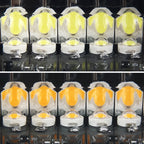 DC 12V 4.2W 16LEDs Crystal Lamp Beads Car Windshield Warning Lamp 18 Flash Patterns(Adjustable) , CMS5390BL, CMS5390LR, CMS5390RL, CMS5390WL, CMS5390WY, CMS5390YL – Durable Build, Easy to Use