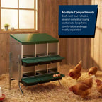 Metal Chicken Nesting Boxes – Sturdy, Hygienic & Organised