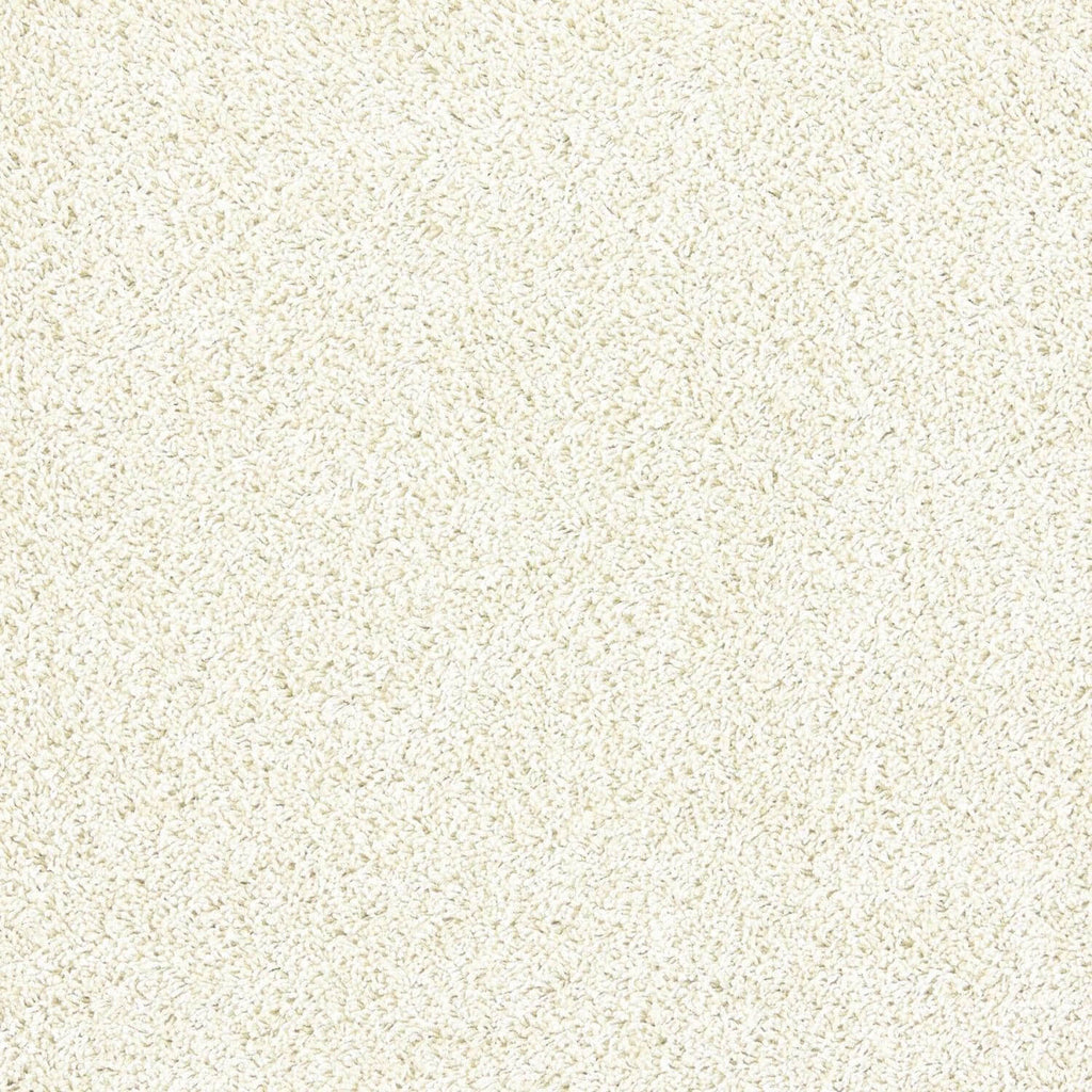 Washable Ivory Shaggy Rug