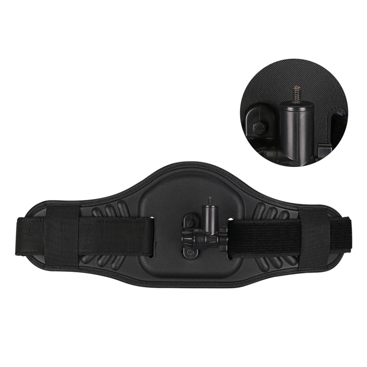 Waist Belt Mount Strap with Adapter & Screw for GoPro, Insta360, DJI and Other Action Cameras – Durable Build, Easy to Use