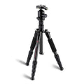 TRIOPO T259G+Q2 Adjustable Portable Carbon Fiber Tripod with Q-2 Ball Head for SLR Camera, T259G+Q2 – Durable Build, Easy to Use T259G+Q2