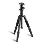 TRIOPO T259G+Q2 Adjustable Portable Carbon Fiber Tripod with Q-2 Ball Head for SLR Camera, T259G+Q2 – Durable Build, Easy to Use T259G+Q2