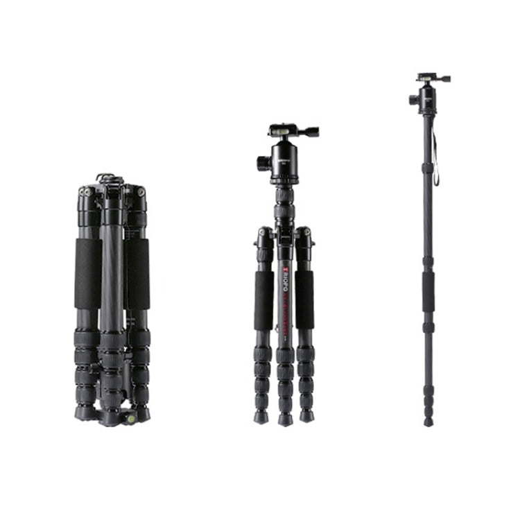 TRIOPO T259G+Q2 Adjustable Portable Carbon Fiber Tripod with Q-2 Ball Head for SLR Camera, T259G+Q2 – Durable Build, Easy to Use