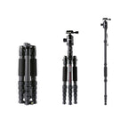 TRIOPO T259G+Q2 Adjustable Portable Carbon Fiber Tripod with Q-2 Ball Head for SLR Camera, T259G+Q2 – Durable Build, Easy to Use