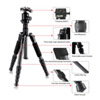 TRIOPO T259G+Q2 Adjustable Portable Carbon Fiber Tripod with Q-2 Ball Head for SLR Camera, T259G+Q2 – Durable Build, Easy to Use