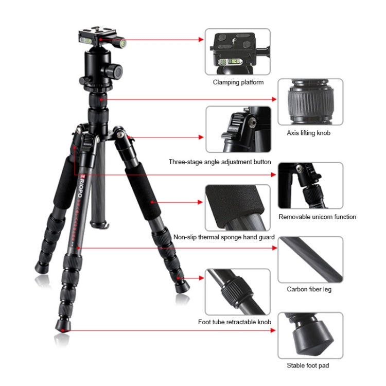TRIOPO T259G+Q2 Adjustable Portable Carbon Fiber Tripod with Q-2 Ball Head for SLR Camera, T259G+Q2 – Durable Build, Easy to Use