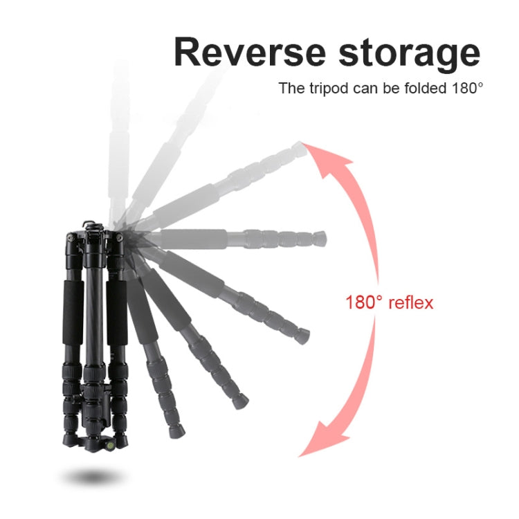 TRIOPO T259G+Q2 Adjustable Portable Carbon Fiber Tripod with Q-2 Ball Head for SLR Camera, T259G+Q2 – Durable Build, Easy to Use