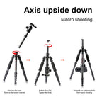 TRIOPO T259G+Q2 Adjustable Portable Carbon Fiber Tripod with Q-2 Ball Head for SLR Camera, T259G+Q2 – Durable Build, Easy to Use