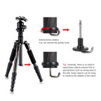 TRIOPO T259G+Q2 Adjustable Portable Carbon Fiber Tripod with Q-2 Ball Head for SLR Camera, T259G+Q2 – Durable Build, Easy to Use