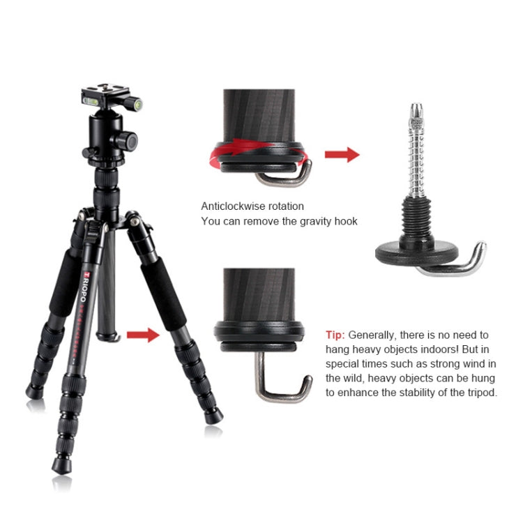 TRIOPO T259G+Q2 Adjustable Portable Carbon Fiber Tripod with Q-2 Ball Head for SLR Camera, T259G+Q2 – Durable Build, Easy to Use