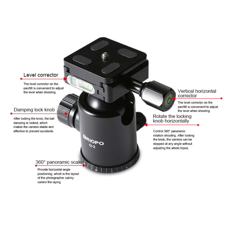 TRIOPO T259G+Q2 Adjustable Portable Carbon Fiber Tripod with Q-2 Ball Head for SLR Camera, T259G+Q2 – Durable Build, Easy to Use