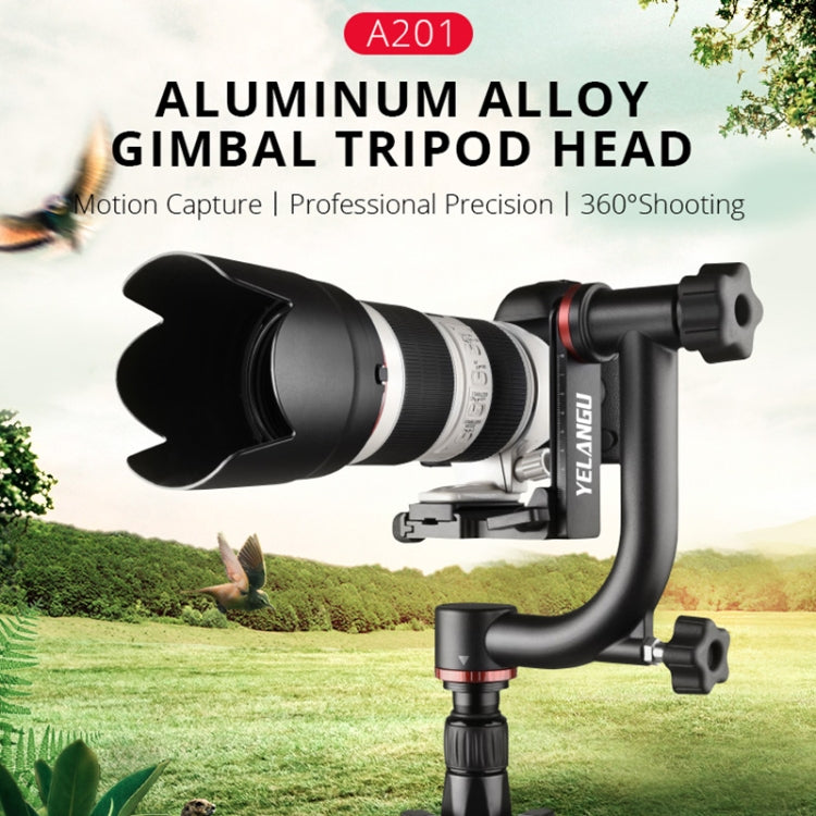 YELANGU A201 360 Degree Horizontal Gimbal Tripod Head for DV and SLR Cameras, A201