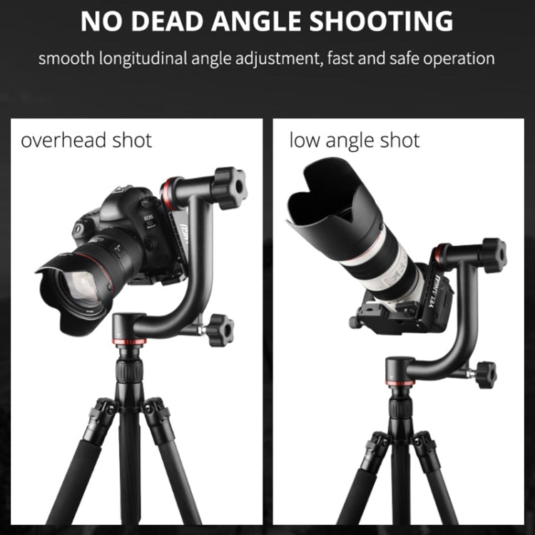 YELANGU A201 360 Degree Horizontal Gimbal Tripod Head for DV and SLR Cameras, A201