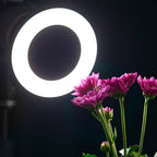 Godox Ring72 Macro Ring 48 LED Flash Light with 8 Different Size Adapter Rings, Ring72