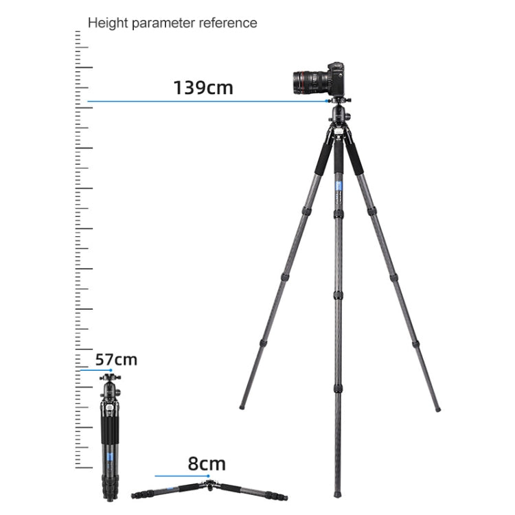 BEXIN RC334 Portable Collapsible Carbon Fiber Camera Tripod, RC334
