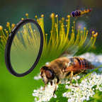 58mm 3 in 1 Round Circle UV Lens Filter with Cap for GoPro HERO7 Black/6 /5, 58mm UV Lens – Aluminum Alloy