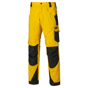 Yellow/Black