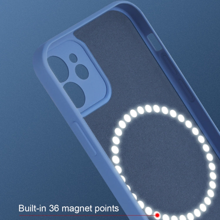 Case – Shockproof, Silicone, Magnetic (iPhone 12 Pro Max)