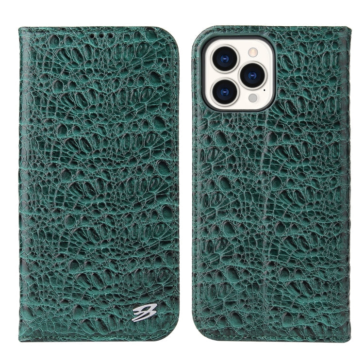 Case – Leather, Magnetic (iPhone 13 mini) #2 For iPhone 13 Pro Green
