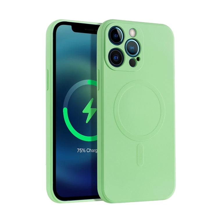 Phone Case – Silicone, Magnetic (iPhone 12 Pro Max) For iPhone 12 Pro Max Green
