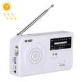 RD-638T Two-band Solar Powered AM / FM Radio Player Flashlight with Dynamo Function White