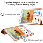 Case – 10.5" Screen, Leather, Foldable (iPad 10)