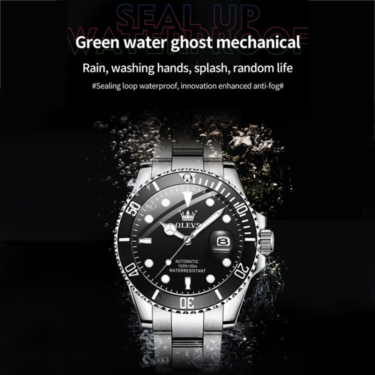 OLEVS 6650 Men Luminous Waterproof Mechanical Watch