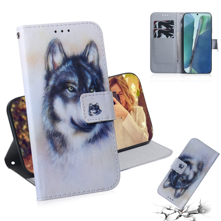 Coloured Drawing Horizontal Flip Leather Case, with Holder & Card Slots & Wallet, For Samsung Galaxy Note 20, For Samsung Galaxy Note 20 Ultra For Samsung Galaxy Note 20 White Wolf