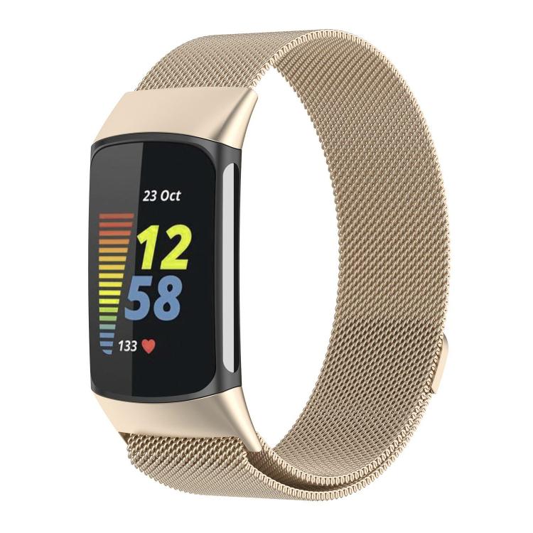 Watch Band – Magnetic (Fitbit Charge 5 xDfind)