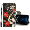 3D Colored Drawing Horizontal Flip PU Leather Case with Holder & Card Slots & Wallet, For iPhone 12 Pro Max