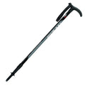 Fizan Promenade Walking Pole