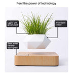 Diamond Plastic Flower Pot + Dark Wood Grain Base Magnetic Levitation Potted Plant Home Decoration, US Plug, Dark Wood Grain US Plug, Light Wood Grain US Plug